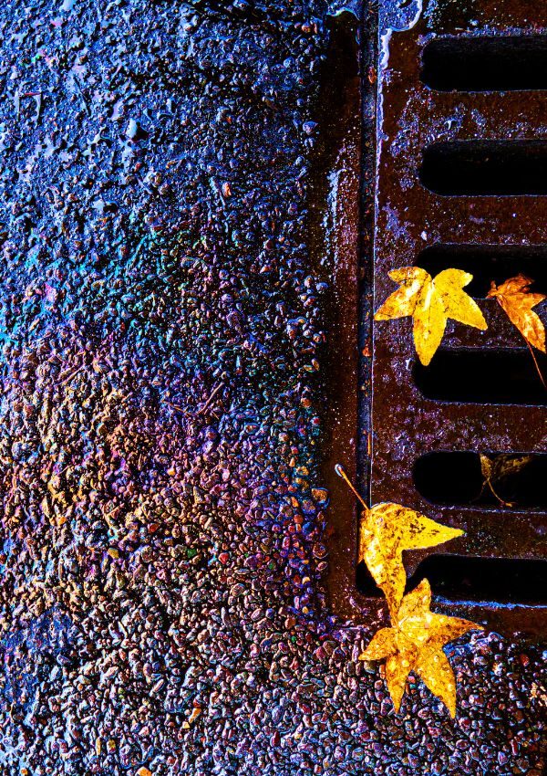 RLI Oil Spill released into storm drain